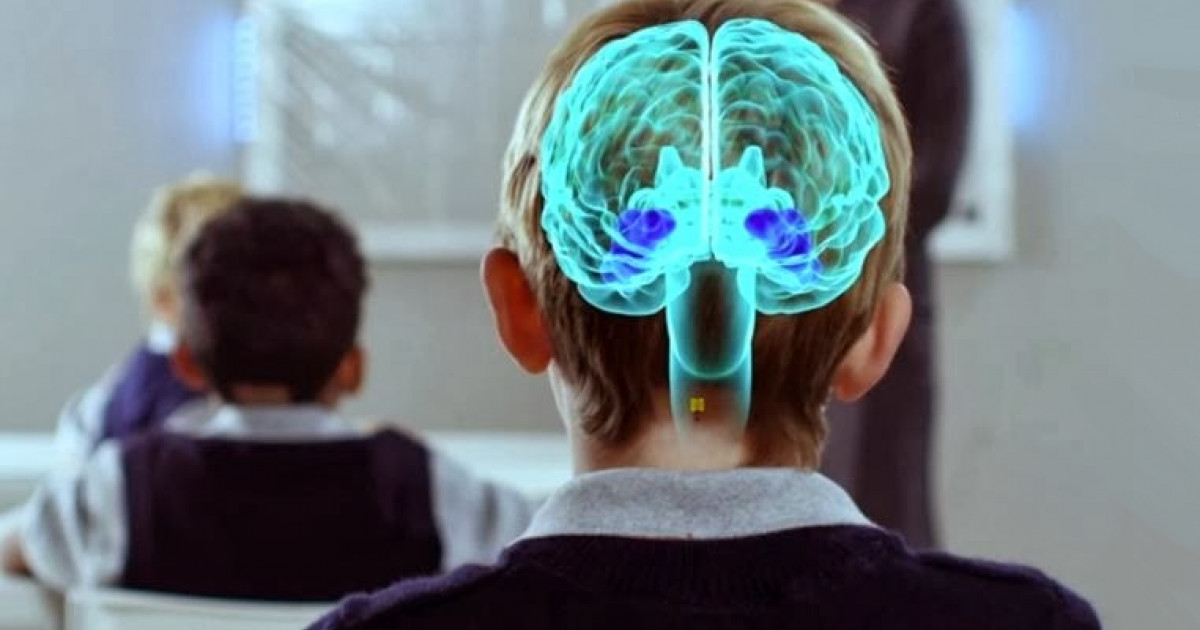 FUNDAMENTOS DE NEUROEDUCACIÓN